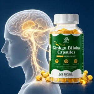 Ginkgo Biloba Extra Strength  Herbal Supplement